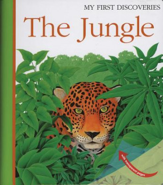 Kniha Jungle Rene Mettler