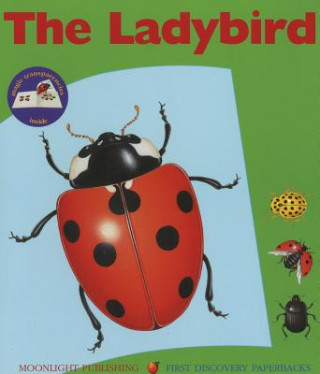 Carte Ladybird Sylvaine Peyrols