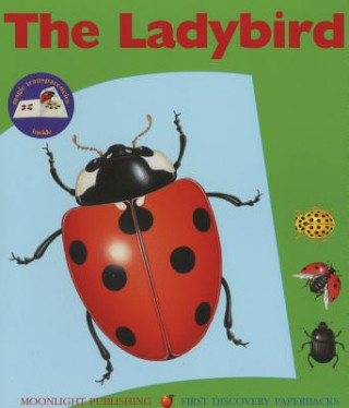 Buch Ladybird Sylvaine Peyrols