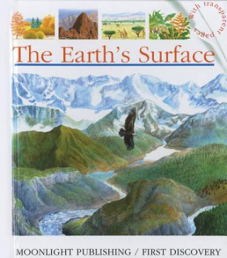 Kniha Earth's Surface Ute Fuhr