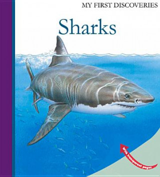 Carte Sharks Raoul Sautai