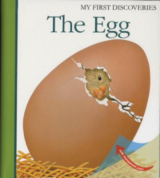 Książka Egg Rene Mettler