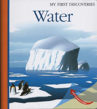 Kniha Water Pierre-Marie Valat