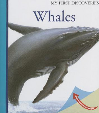 Kniha Whales Claude Delafosse