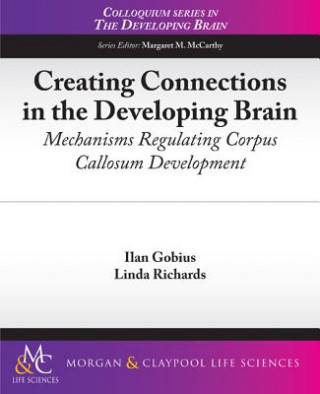 Carte Creating Connections in the Developing Brain ILAN GOBIUS
