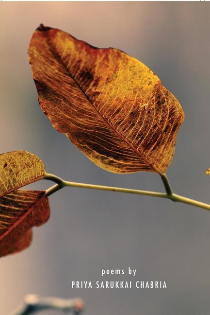 Libro Not Springtime Yet Priya Sarukkai Chabria