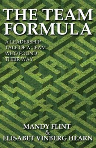 Książka Team Formula - A Leadership Tale of a Team That Found Their Way Elisabet Vinberg Hearn