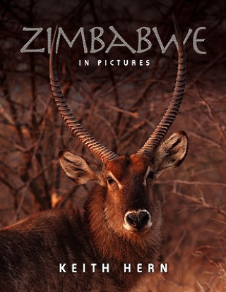 Книга Zimbabwe in Pictures Keith Hern