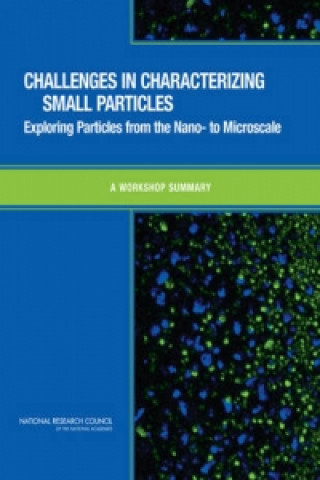 Knjiga Challenges in Characterizing Small Particles National Research Council