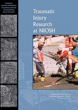 Buch Traumatic Injury Research at NIOSH National Research Council