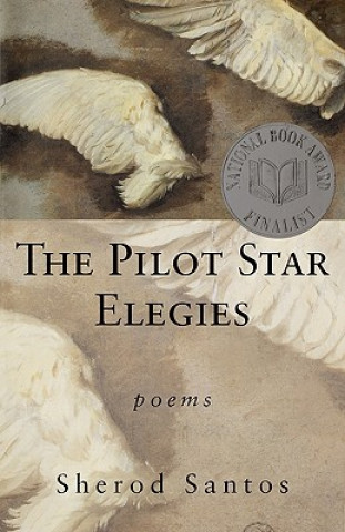 Könyv Pilot Star Elegies Sherod Santos