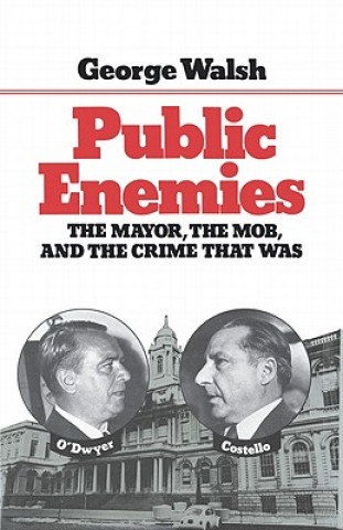 Book Public Enemies George Walsh