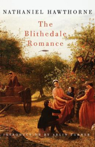 Book Blithedale Romance Arlin Turner