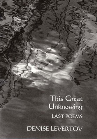 Kniha This Great Unknowing Denise Levertov