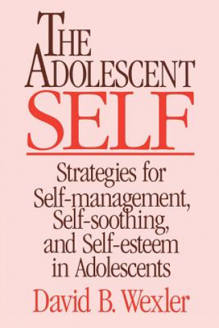 Kniha Adolescent Self David B. Wexler