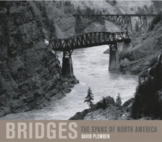 Knjiga Bridges David Plowden