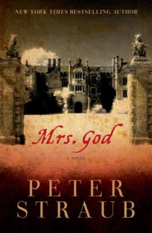 Carte Mrs God - A Novel Peter Straub