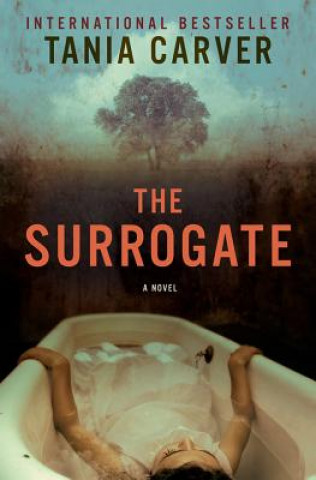Kniha Surrogate - A Novel Tania Carver