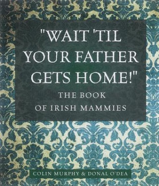 Könyv Book of Irish Mammies Donal O'Dea