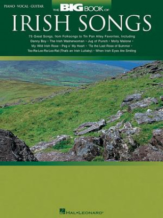 Kniha Big Book of Irish Songs Hal Leonard Corp