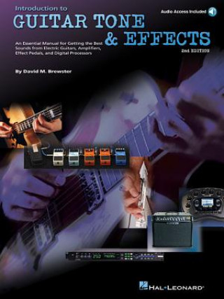 Kniha Introduction to Guitar Tone & Effects David M. Brewster