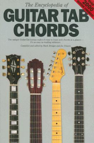 Kniha ENCYCLOPEDIA OF GUITAR TAB CHORDS Joe Dineen