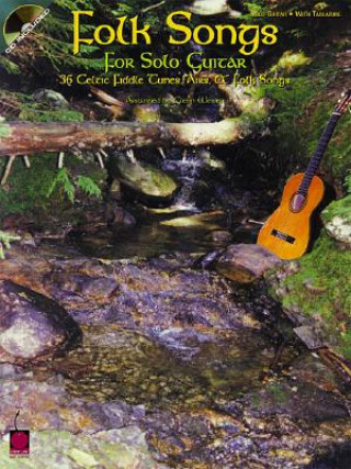 Kniha Folk Songs for Solo Guitar Tab Glenn Weiser