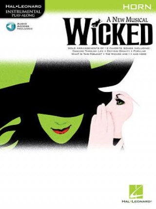 Βιβλίο Hal Leonard Instrumental Play-along Stephen Schwartz