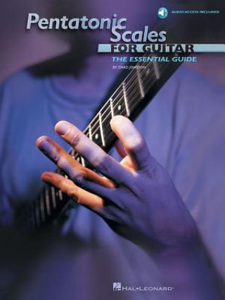 Kniha Pentatonic Scales for Guitar Chad Johnson