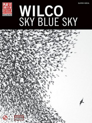 Könyv WILCO SKY BLUE SKY GTR TAB Wilco