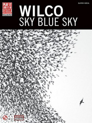 Libro WILCO SKY BLUE SKY GTR TAB Wilco