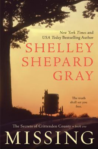 Book MISSING BOOK ONE SHELLEY SHEPAR GRAY