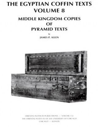 Kniha Egyptian Coffin Texts James P. Allen