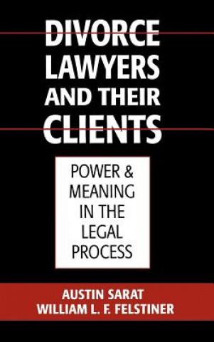 Buch Divorce Lawyers and Their Clients William L. F. Felstiner