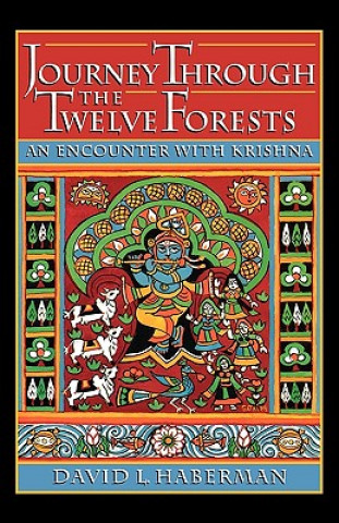 Könyv Journey Through the Twelve Forests David L. Haberman