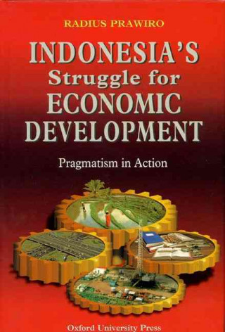 Libro Indonesia's Struggle for Economic Development Radius Prawiro