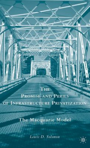 Knjiga Promise and Perils of Infrastructure Privatization Lewis D. Solomon