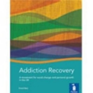 Buch Addiction Recovery: A Handbook David Best