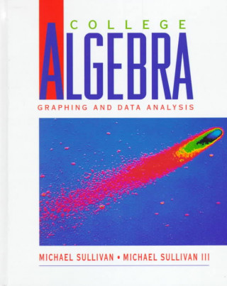 Kniha College Algebra Michael Sullivan