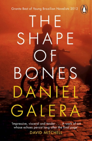 Könyv Shape of Bones GALERA   DANIEL