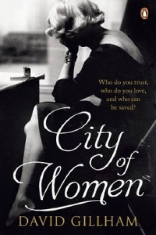 Kniha City of Women David Gillham