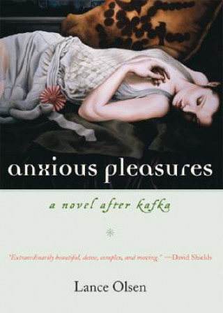 Buch Anxious Pleasures Lance Olsen