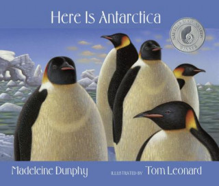 Könyv Here Is Antarctica Madeleine Dunphy