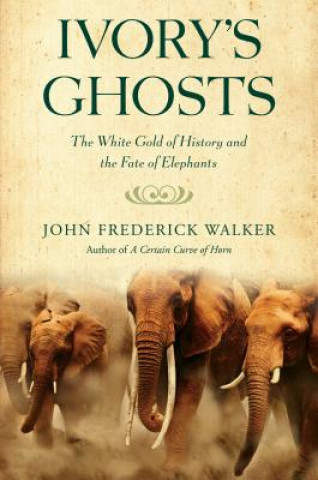 Buch Ivory's Ghosts John Frederick Walker