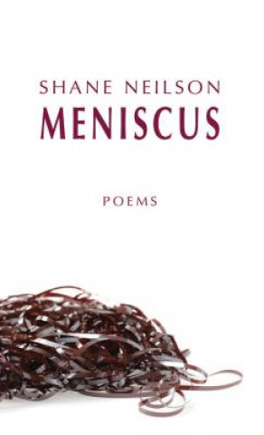 Könyv Meniscus Shane Neilson