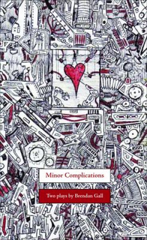 Kniha Minor Complications Brendan Gall