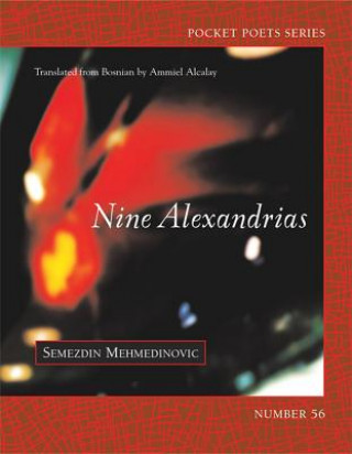 Buch Nine Alexandrias Semezdin Mehmedinovic