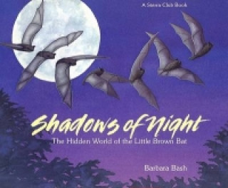 Carte Shadows of Night Barbara Bash