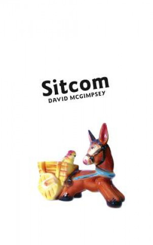 Книга Sitcom David McGimpsey