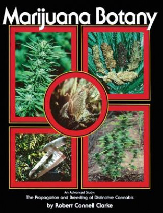 Kniha Marijuana Botany R. Clarke